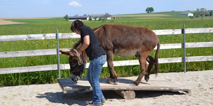 Ausflug mit Kindern - Mühlbach (Obertrum am See) - Esel-Führerschein am Berndlgut