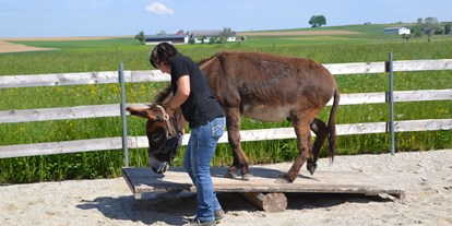 Ausflug mit Kindern - Untergrub (Eggelsberg) - Esel-Führerschein am Berndlgut