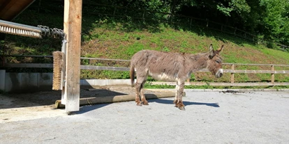 Ausflug mit Kindern - Witterung: Bewölkt - Schnepfau - Doppelmayr Zoo