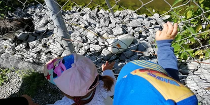 Ausflug mit Kindern - Witterung: Bewölkt - Schnepfau - Doppelmayr Zoo