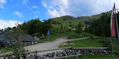 Ausflug mit Kindern - Neißing - Sausteigalm am Zwölferhorn