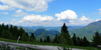 Ausflug mit Kindern - Dauer: ganztags - Strobl - Sausteigalm am Zwölferhorn