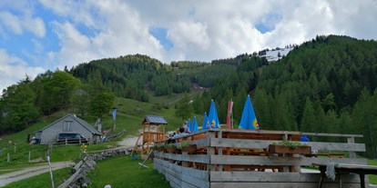 Ausflug mit Kindern - Themenschwerpunkt: Wandern - Schörfling - Sausteigalm am Zwölferhorn
