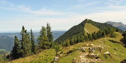 Ausflug mit Kindern - Ausflugsziel ist: ein Aussichtspunkt - Sankt Leonhard (Grödig) - Symbolbild für Ausflugsziel Sausteigalm am Zwölferhorn (Salzburg). - Sausteigalm am Zwölferhorn