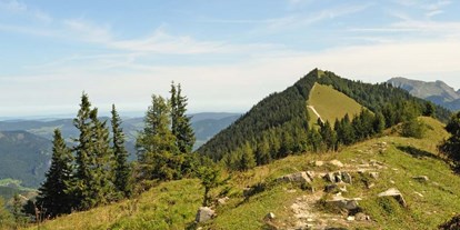 Ausflug mit Kindern - Witterung: Bewölkt - Scheffau am Tennengebirge - Symbolbild für Ausflugsziel Sausteigalm am Zwölferhorn (Salzburg). - Sausteigalm am Zwölferhorn