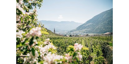 Ausflug mit Kindern - Trentino-Südtirol - Frühling in Algund
© Tourismusverein Algund, Benjamin Pfitscher - Algund bei Meran