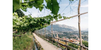Ausflug mit Kindern - Trentino-Südtirol - Sommer in Algund
© Tourismusverein Algund, Benjamin Pfitscher - Algund bei Meran