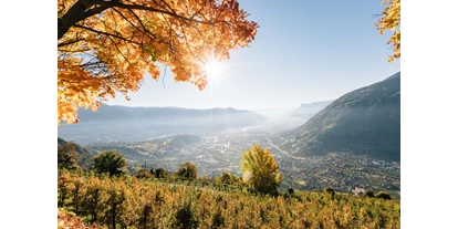 Ausflug mit Kindern - Naturns, Südtirol - Herbst in Algund
© Tourismusverein Algund, Benjamin Pfitscher - Algund bei Meran