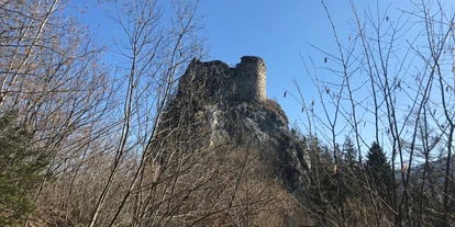 Ausflug mit Kindern - sehenswerter Ort: Ruine - Österreich - Burgruine Eppenstein