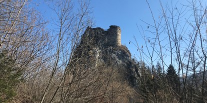 Ausflug mit Kindern - sehenswerter Ort: Turm - Österreich - Burgruine Eppenstein