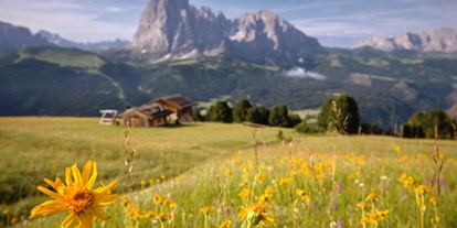 Ausflug mit Kindern - Dolomiten - Ausblick auf den Langkofel - Gröden/Val Gardena 