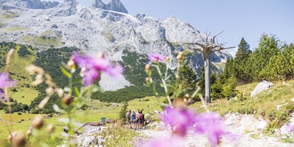 Ausflug mit Kindern - öffentliche Verkehrsmittel - Wald am Arlberg - Gauertaler AlpkulTour