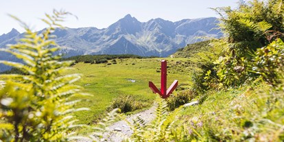 Ausflug mit Kindern - Umgebungsschwerpunkt: Berg - Wald am Arlberg - Gauertaler AlpkulTour