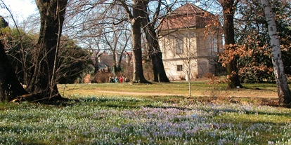 Ausflug mit Kindern - sehenswerter Ort: Garten - Wien Landstraße - Botanischer Garten der Universität Wien - Grüne Schule