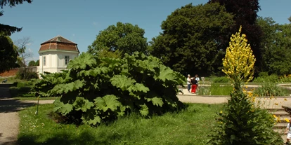 Ausflug mit Kindern - Ausflugsziel ist: eine Wanderung - Wien Landstraße - Botanischer Garten der Universität Wien - Grüne Schule