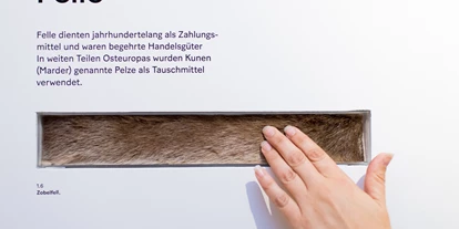 Trip with children - Witterung: Bewölkt - PLZ 2351 (Österreich) - Fühlen und begreifen - Hands-On-Station Tauschhandel - Geldmuseum der Oesterreichischen Nationalbank