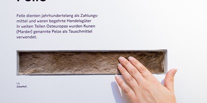 Ausflug mit Kindern - Schatten: vollständig schattig - Wien Währing - Fühlen und begreifen - Hands-On-Station Tauschhandel - Geldmuseum der Oesterreichischen Nationalbank