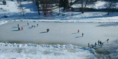 Ausflug mit Kindern - Sportanlage: Eislaufplatz - Peilstein im Mühlviertel - Eislaufplatz beim Poeschlteich