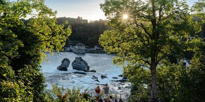 Ausflug mit Kindern - Ausflugsziel ist: eine Sehenswürdigkeit - Rheinfall 