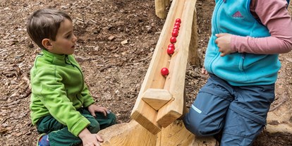 Ausflug mit Kindern - Ausflugsziel ist: eine Wanderung - Baden-Württemberg - Kugelwaldpfad