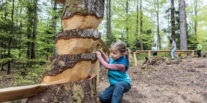 Ausflug mit Kindern - Alter der Kinder: 6 bis 10 Jahre - Neuhausen am Rheinfall - Kugelwaldpfad