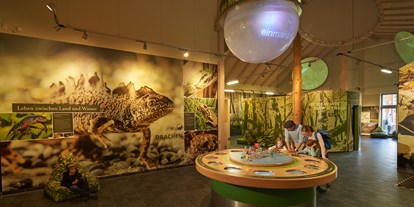 Ausflug mit Kindern - Emleben - Entdecke die Geheimisse des Nationalpark Hainich in unserer interaktiven Ausstellung im Nationalparkzentrum. Foto: Tino Sieland - Baumkronenpfad im Nationalpark Hainich