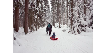Ausflug mit Kindern - Winterausflugsziel - Männersdorf - Der Winterwanderweg verläuft neben der Parallelloipe. - Winterwanderweg Oberhaag