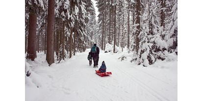 Ausflug mit Kindern - Neudorf (Herzogsdorf) - Der Winterwanderweg verläuft neben der Parallelloipe. - Winterwanderweg Oberhaag