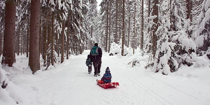 Ausflug mit Kindern - barrierefrei - Peilstein im Mühlviertel - Winterwanderweg Oberhaag