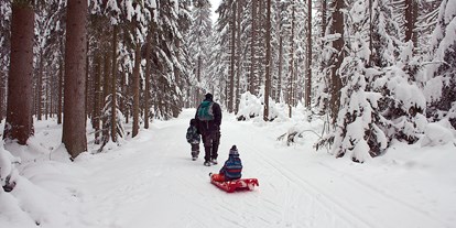 Ausflug mit Kindern - Moos (Haibach ob der Donau, Heiligenberg, Putzleinsdorf) - Winterwanderweg Oberhaag