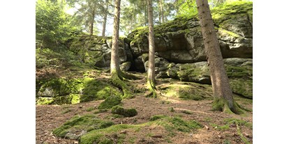 Ausflug mit Kindern - Witterung: Bewölkt - Waxenberg - Räuberhöhle - Kühsteinrunde