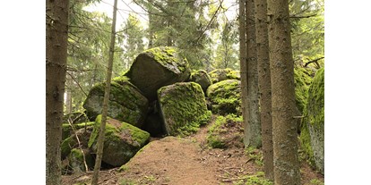 Ausflug mit Kindern - Umgebungsschwerpunkt: Wald - Schroffen - Bergsteinmauer