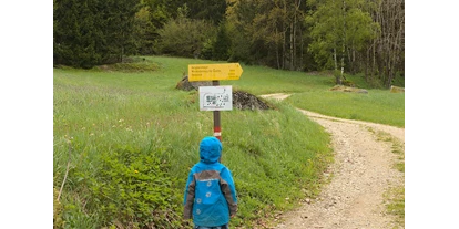 Ausflug mit Kindern - Witterung: Bewölkt - Wenigfirling - Bergsteinmauer