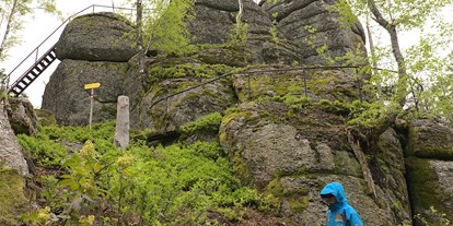 Ausflug mit Kindern - Schatten: überwiegend schattig - Hirschbach im Mühlkreis - Bergsteinmauer