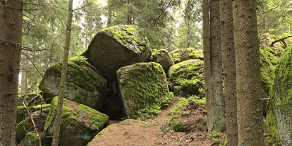 Ausflug mit Kindern - Ausflugsziel ist: ein Naturerlebnis - Halmenberg - Bergsteinmauer