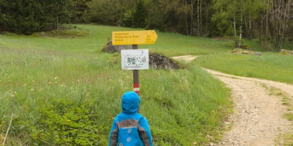 Ausflug mit Kindern - Umgebungsschwerpunkt: Land - Netzberg - Bergsteinmauer
