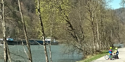 Ausflug mit Kindern - Dauer: halbtags - Donau Oberösterreich - Fischlehrpfad Obermühl