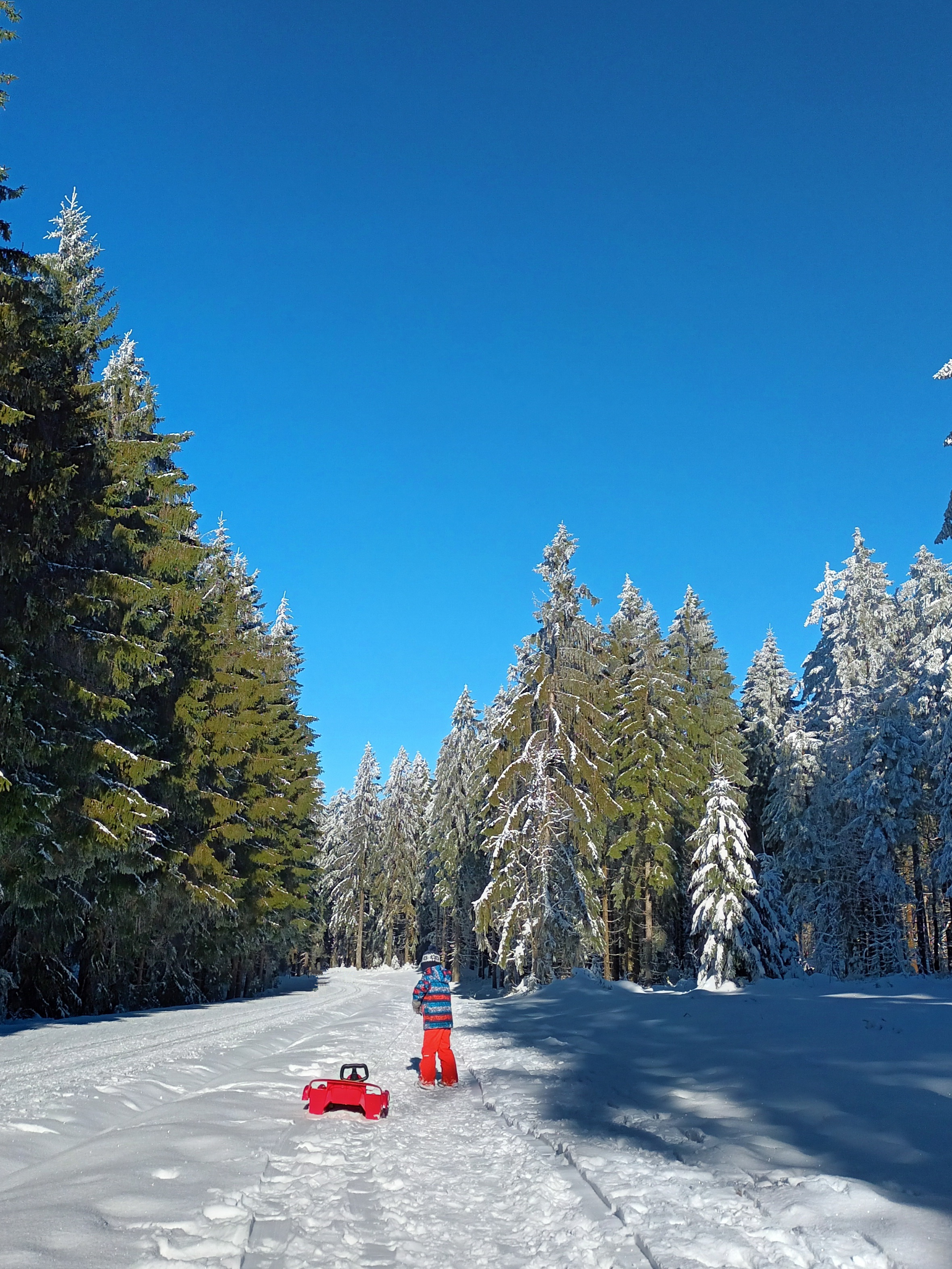 Ausflug mit Kindern - Winterwanderweg Alpenblick