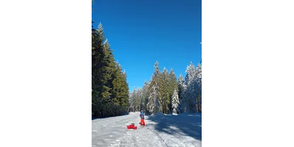 Ausflug mit Kindern - Umgebungsschwerpunkt: Land - Peilstein im Mühlviertel - Winterwanderweg Alpenblick