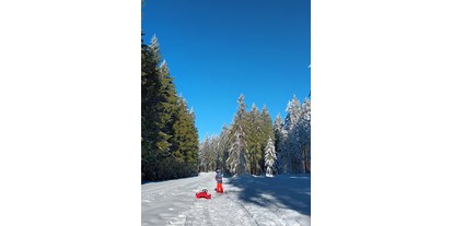Ausflug mit Kindern - Hinterweißenbach - Winterwanderweg Alpenblick