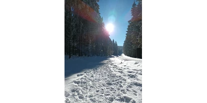 Ausflug mit Kindern - Schatten: überwiegend schattig - Peilstein im Mühlviertel - Winterwanderweg Alpenblick