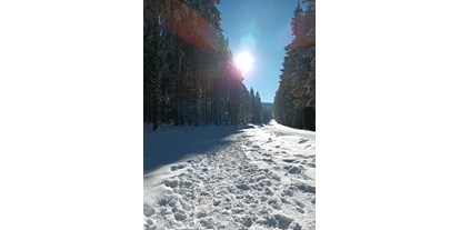 Ausflug mit Kindern - Stierberg (Peilstein im Mühlviertel) - Winterwanderweg Alpenblick