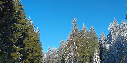 Ausflug mit Kindern - Ausflugsziel ist: eine Wanderung - Peilstein im Mühlviertel - Winterwanderweg Alpenblick