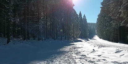 Ausflug mit Kindern - Alter der Kinder: über 10 Jahre - Peilstein im Mühlviertel - Winterwanderweg Alpenblick