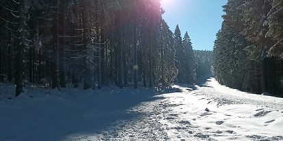 Ausflug mit Kindern - Weixelbaum (Peilstein im Mühlviertel) - Winterwanderweg Alpenblick