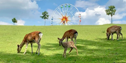 Trip with children - Ausflugsziel ist: ein Zoo - Germany - Sonnenlandpark Lichtenau	