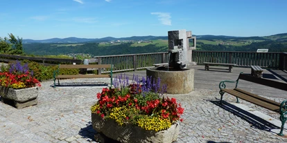 Ausflug mit Kindern - Umgebungsschwerpunkt: Land - Mühlberg (Waldkirchen am Wesen) - Panoramablick Vichtenstein