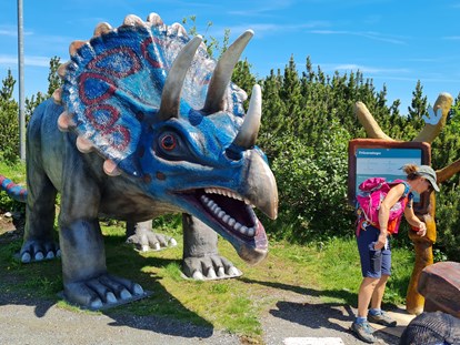 Ausflug mit Kindern - erreichbar mit: Seilbahn - Kössen - Triassic Park auf der Steinplatte