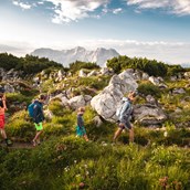 Ausflug mit Kindern: Steinplatte Waidring Triassic Park - Triassic Park auf der Steinplatte
