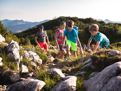 Ausflug mit Kindern - Parkmöglichkeiten - Kitzbüheler Alpen - Steinplatte Waidring Triassic Park - Triassic Park auf der Steinplatte